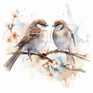 Bird Prints Sparrow JPG Clipart Bundle,12 High Quality Watercolor JPG Files for Instand Digital Download