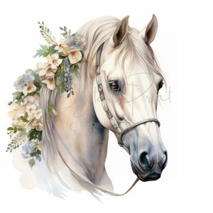 Blumen Pferd - 12 hochwertige JPGs - Blumen Pferd Clipart, Ostern Pferd Clipart, Junk Journaling, kommerzielle Nutzung, digitaler Download