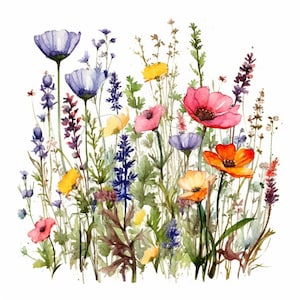Wild Floral Clipart WildFlowers Meadow - 12 High Quality JPGs - Spring Flowers - Digital Download,Commercial Use - Card Making