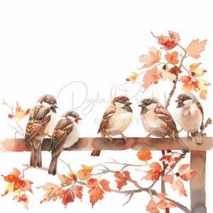 12 Autumn Sparrow Clipart, Forest Little Bird, Watercolor JPG, Ideal For Childroom, Junk Journal. Paper Craft, Digital Printable Art