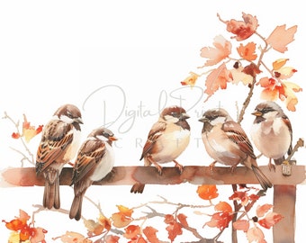 12 Autumn Sparrow Clipart, Forest Little Bird, Watercolor JPG, Ideal For Childroom, Junk Journal. Paper Craft, Digital Printable Art