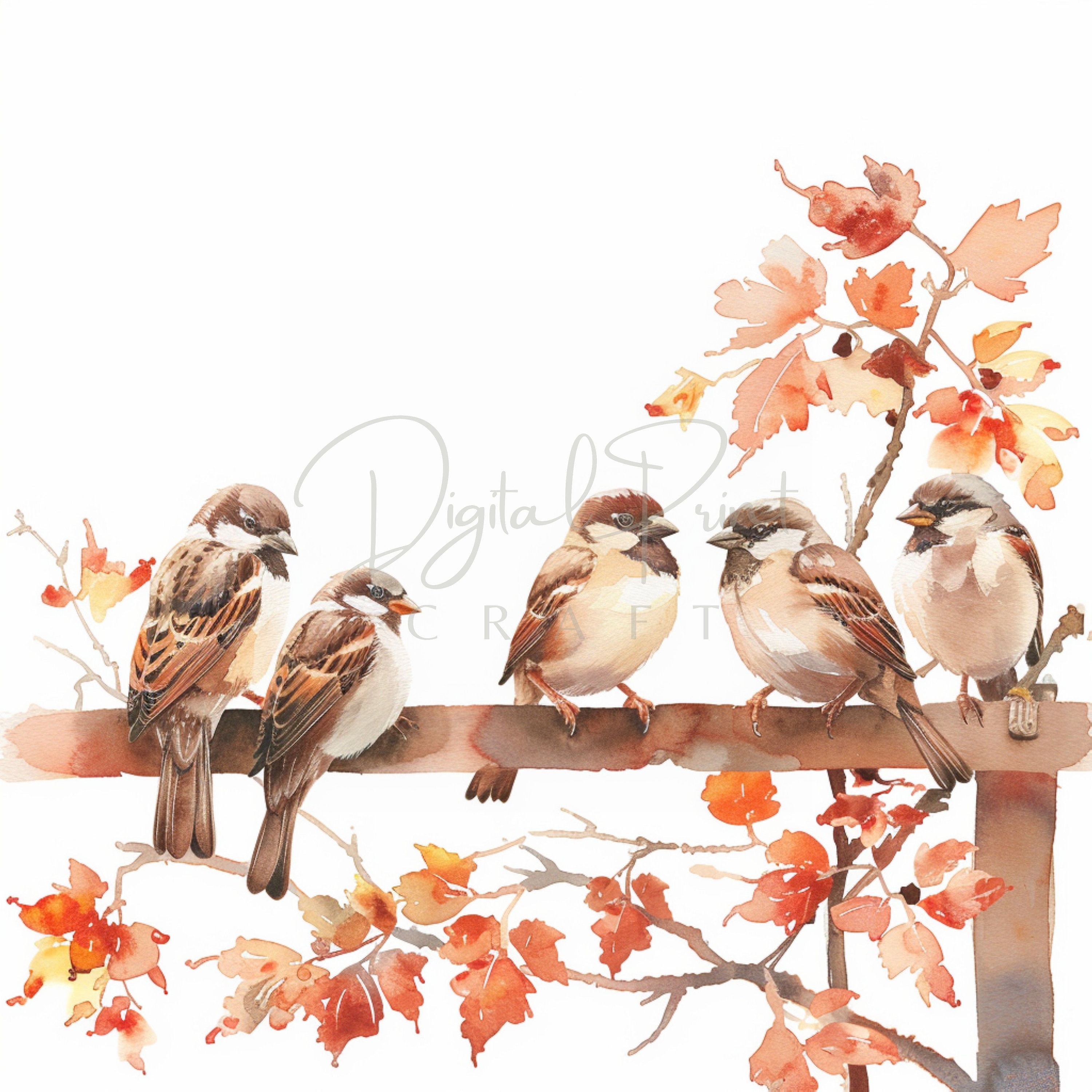 12 Autumn Sparrow Clipart, Forest Little Bird, Watercolor JPG, Ideal For Childroom, Junk Journal. Paper Craft, Digital Printable Art