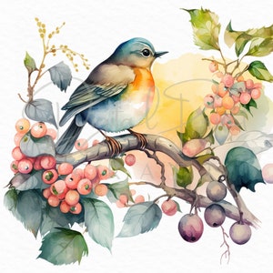 Birds Flowers Clipart PNG Bundle + JPG and SVG Files 19 Images - Digital Download - Card Making,Mixed Media, Digital Paper Craft, Watercolor