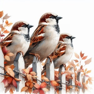 10 Sparrow Autumn Floral Clipart, Home Bird, Couple, Watercolor JPG, Ideal For Postcards, Junk Journal. Paper Craft, Digital Printable Art
