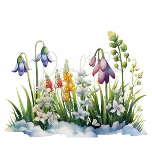 Imágenes prediseñadas de flores silvestres, flores de prado en acuarela, 12 PNG transparentes, planificador digital, diario basura, descarga digital, tarjeta de regalo