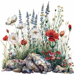 Peut inclure: Une peinture à l'aquarelle d'un bouquet de fleurs sauvages avec des coquelicots rouges, des cosmos blancs et de la lavande bleue. Les fleurs sont disposées en grappe et entourées de feuillage vert et de rochers.