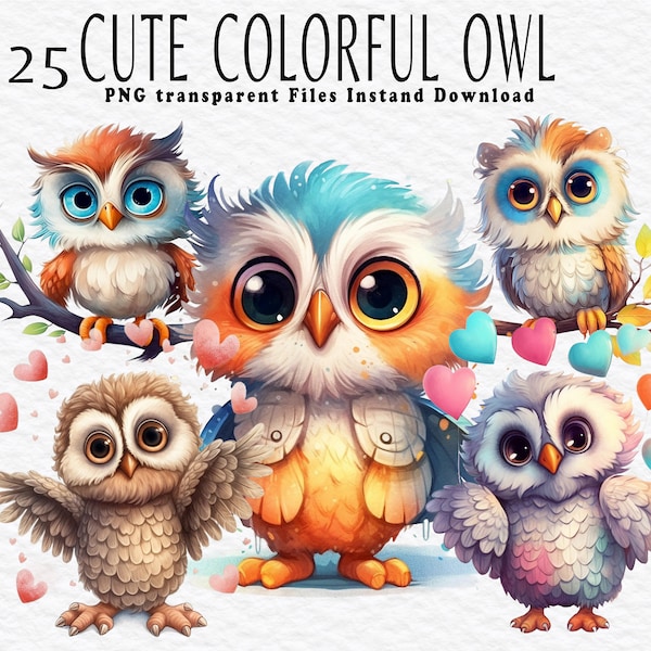 Cute Colorful  Owl Clipart PNG Bundle, Watercolor PNG Files for Sublimation Design PNG, Bundle Vibrant Colors, Owl Clipart , Owl  Pack