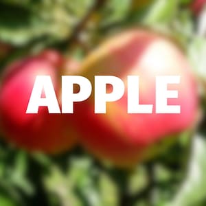 Fuji 216 Apple — Scion Cuttings