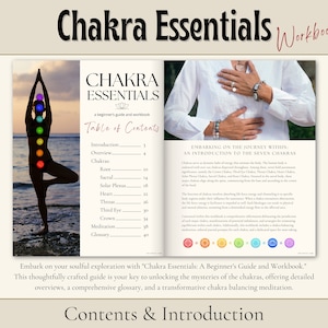 Chakra Guide and Workbook, Chakra Essentials: A Beginner's Guide to the ...