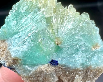 Unique Piece! Natural Flower Shape ARAGONITE With AZURITE Specimen @AFGHANISTAN Mineral Collectors