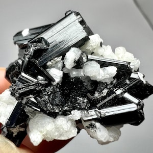 May include: A close-up of a mineral specimen featuring a cluster of black tourmaline crystals with a glossy, reflective surface. The tourmaline is interspersed with white, granular quartz, creating a striking contrast. The overall composition is a natural, geological formation.