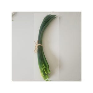 Peut inclure: Un bouquet de jeunes oignons verts frais, attach&eacute;s avec de la ficelle. Les oignons verts sont dispos&eacute;s sur une surface blanche, mettant en valeur leur couleur verte vibrante et leur aspect frais. La ficelle ajoute une touche rustique.
