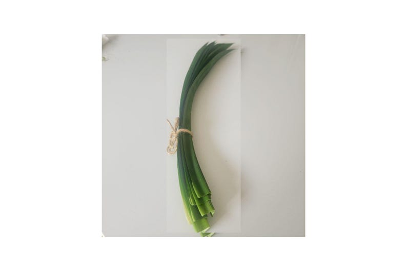Peut inclure: Un bouquet de jeunes oignons verts frais, attach&eacute;s avec de la ficelle. Les oignons verts sont dispos&eacute;s sur une surface blanche, mettant en valeur leur couleur verte vibrante et leur aspect frais. La ficelle ajoute une touche rustique.