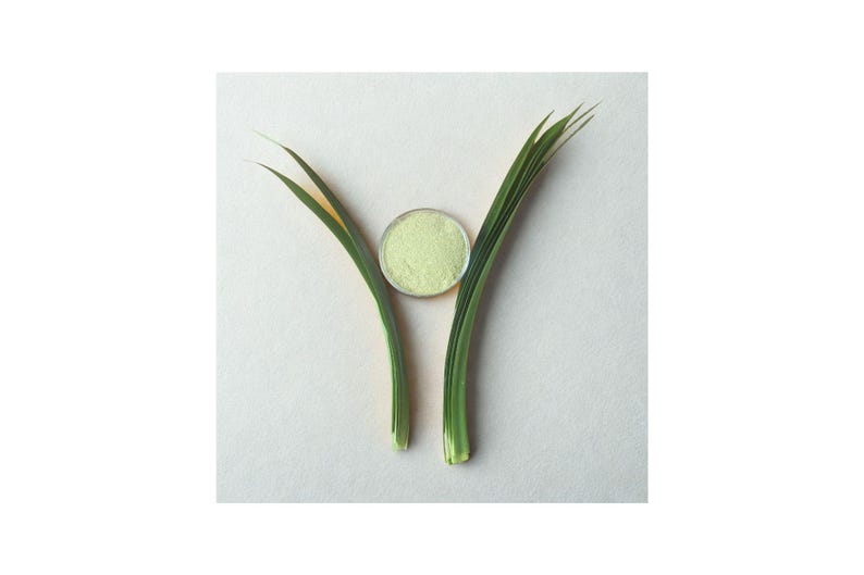 Peut inclure: Une composition minimaliste avec un petit r&eacute;cipient rond et transparent rempli d'une poudre vert clair, plac&eacute; entre deux brins d'herbe verts et jaunes. L'ensemble est pos&eacute; sur un fond uni blanc cass&eacute;, cr&eacute;ant une esth&eacute;tique naturelle et spa.