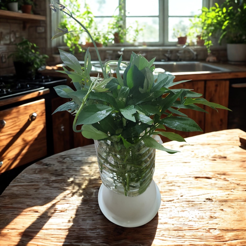 May include: A clear plastic bottle repurposed as a vase, holding a vibrant green plant. The vase sits on a white, round base, placed on a rustic wooden table. The background shows a kitchen with a window and other plants.