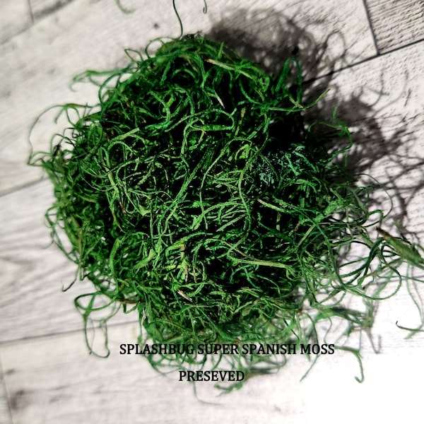 The  Spanish Moss Preserved Grass, with natural Dye