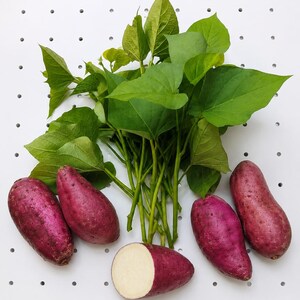 May include: A cluster of fresh sweet potatoes with vibrant purple skin and green leafy stems. One sweet potato is sliced in half, revealing a creamy white interior. The vegetables are arranged together, showcasing their smooth, elongated shape.