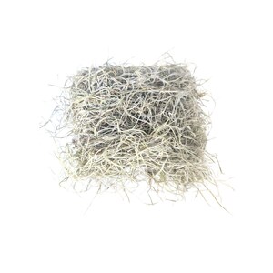 May include: A large clump of dried Spanish moss, a light gray-green color, with long, thin strands. The moss is arranged in a loose, natural pile.