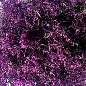 Spaans mospaarse kleur / geverfd / geconserveerd / Spaans mos / voor je huisdecoratie, verpakking van 3 ounce8,99
