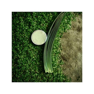 Peut inclure: Un petit r&eacute;cipient rond et argent&eacute; rempli d'une substance vert clair repose sur un lit de feuillage vert. Une longue feuille verte s'&eacute;tend sur le cadre, avec une section de surface beige visible &agrave; droite.