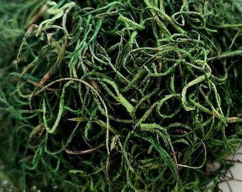 Musgo español: Verde bosque/suave/preservado/uso para decoración del hogar/