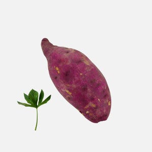 May include: A vibrant purple sweet potato with a textured skin, alongside a small green leaf with multiple lobes. The sweet potato is the primary focus, set against a plain white background, highlighting its natural color and shape.