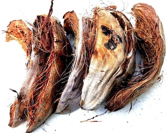 Trozos naturales de cáscara de coco: sustrato ecológico para el cultivo de plantas/uso para manualidades