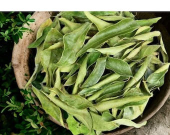 Poudre de feuilles de curry : épice indienne fraîche, herbe parfumée - 2 oz