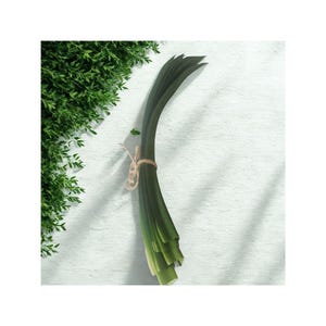 Peut inclure: Un bouquet de poireaux verts frais, attach&eacute;s avec de la ficelle, sur un fond blanc textur&eacute;. Les poireaux sont d'un vert vif, avec du vert plus clair &agrave; la base. Du feuillage vert est dans le coin sup&eacute;rieur gauche.