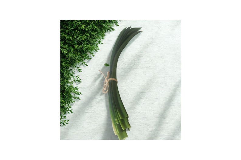 Peut inclure: Un bouquet de poireaux verts frais, attach&eacute;s avec de la ficelle, sur un fond blanc textur&eacute;. Les poireaux sont d'un vert vif, avec du vert plus clair &agrave; la base. Du feuillage vert est dans le coin sup&eacute;rieur gauche.