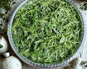 May include: A silver tray filled with fresh, green leafy herbs. The herbs are densely packed, with small, delicate leaves. The tray is surrounded by white ceramic teapots and a woven basket, suggesting a culinary or herbal theme.