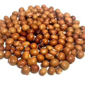 Winged beans  vegetable seeds - Best protein  and a delicious vegetable 20 seeds pack