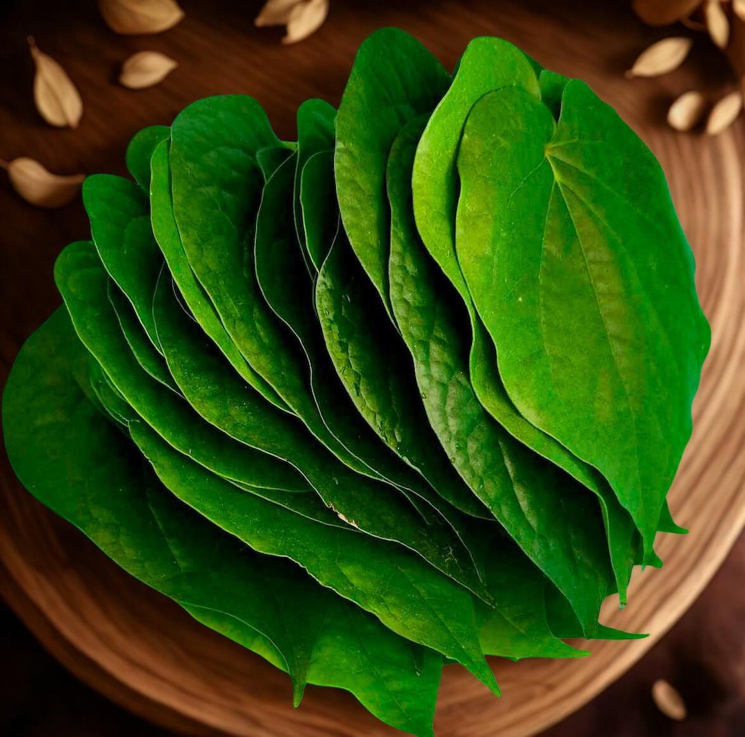 Betel Leaves Fresh (paan Patha, Pann, Piper Betel, Beetel) Bulath ...