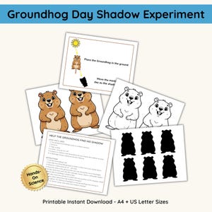 Groundhog Day Science Activity for Kids, Light & Shadow Experiment Printable, Groundhog Shadow STEM Craft, A4 and US Letter Instant Download