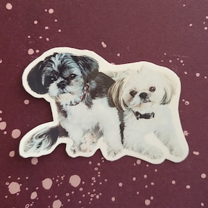 Personalized Pet Sticker | Custom Pet Sticker | Make Your Own Sticker | Photo to Sticker