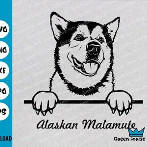 Malamute d'Alaska svg, png malamute d'Alaska, dessin au trait visage de chien, clipart malamute, fichier de coupe dxf, silhouette d'animal de compagnie, coupe cricut de conception de race husky