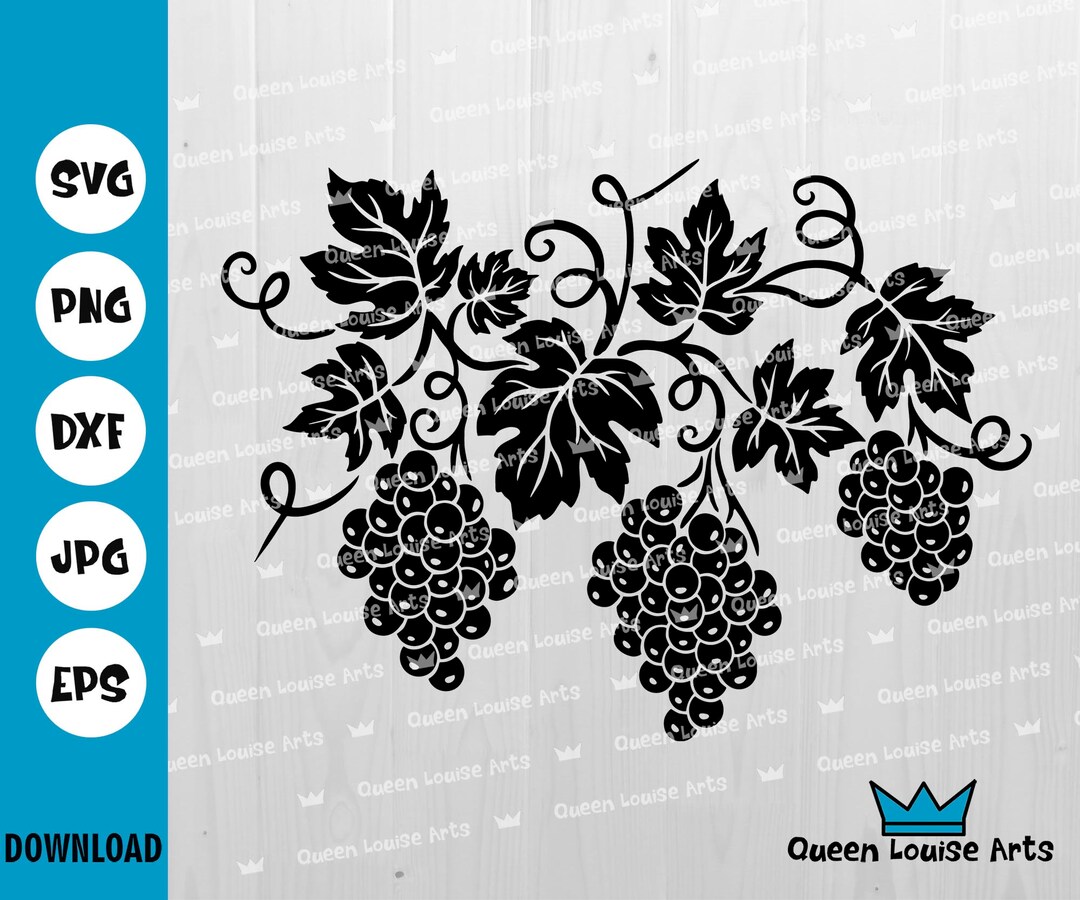 Grapevine Svg Bunch of Grapes Svg Grapevine Wall Decor - Etsy
