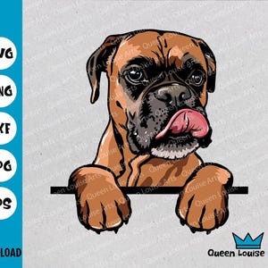 Boxer svg,Boxer breed png clip art,vector dog sublimation,cricut digital design,Wall Art T-shirt Graphics,Silhouette Print File  Png Eps Svg
