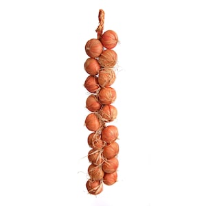 May include: A bunch of brown onions hanging from a string, tied together with twine. The onions are arranged in a vertical line, with the largest onion at the top and the smallest onion at the bottom.