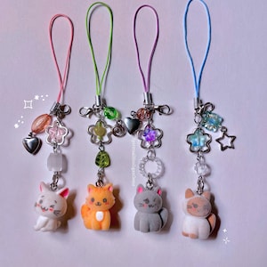 Accessoire schattige kat bedel