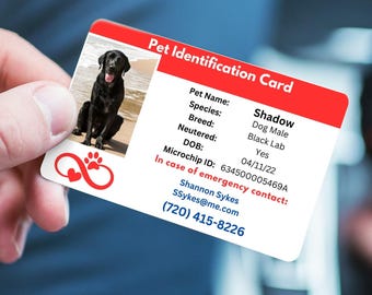 Pet Identification Card