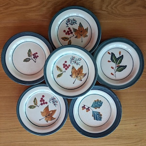 May include: A set of six ceramic plates with a cream-colored center and a dark blue rim. Each plate features a different autumn-themed design, including leaves and berries in shades of orange, green, and red. The plates are arranged on a wooden surface.