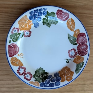 Pode incluir: Um prato de jantar de cerâmica branca com uma borda azul e um design colorido de frutas e folhas. O design apresenta uvas, maçãs e folhas em tons de vermelho, laranja, verde e azul.