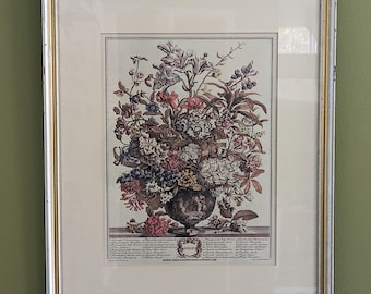 Lámina botánica "Julio" de Robert Furber, enmarcada, de la década de 1970, 30x40 cm, con paspartú profesional. Arte floral para pared.