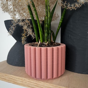 May include: A pink, ribbed ceramic planter with a snake plant growing inside. The planter has a rounded, heart-shaped base.