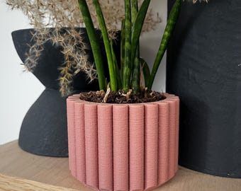 Succulent Pot – Cute Mini Flower Planter for Indoor Plants, Cactus & Desk Decor
