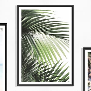 Palm Leaf Print: Tropical Greenery Botanical Art