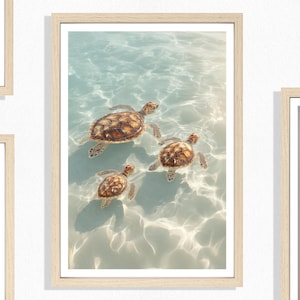 Puede incluir: Una impresión enmarcada que presenta tres tortugas marinas nadando en agua clara y turquesa. Las tortugas tienen caparazones marrones y beige, y el agua refleja la luz del sol. La obra de arte está encerrada en un marco de madera de color claro, creando una escena costera serena.
