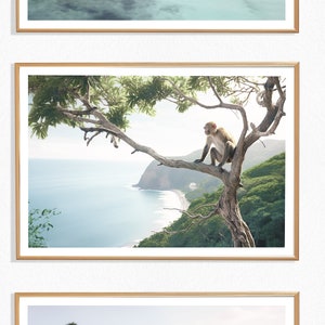 Impresión de mono (L), Imagen de mono en árbol, Póster de mono, Imagen de animal, Animal tropical, Tema animal, Impresión animal, Copas de árboles, Tailandia