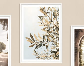Olive Branches Print (P), Botanical Artwork, Neutral Home Decor, Mediterranean Kitchen Art, Soft Natural Illustration, Elegant Olive Leaves